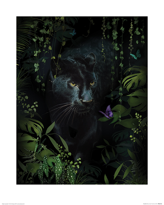 Summer Thornton (Panther) Art Prints