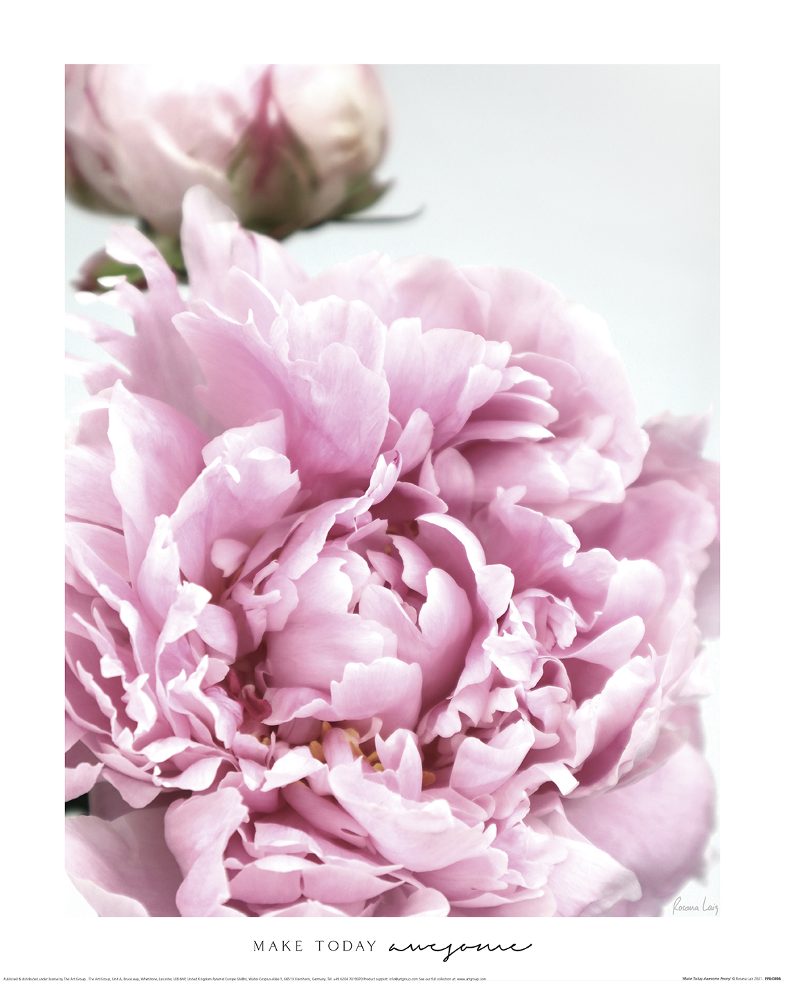 Rosana Laiz (Make Today Awesome Peony) Art Prints