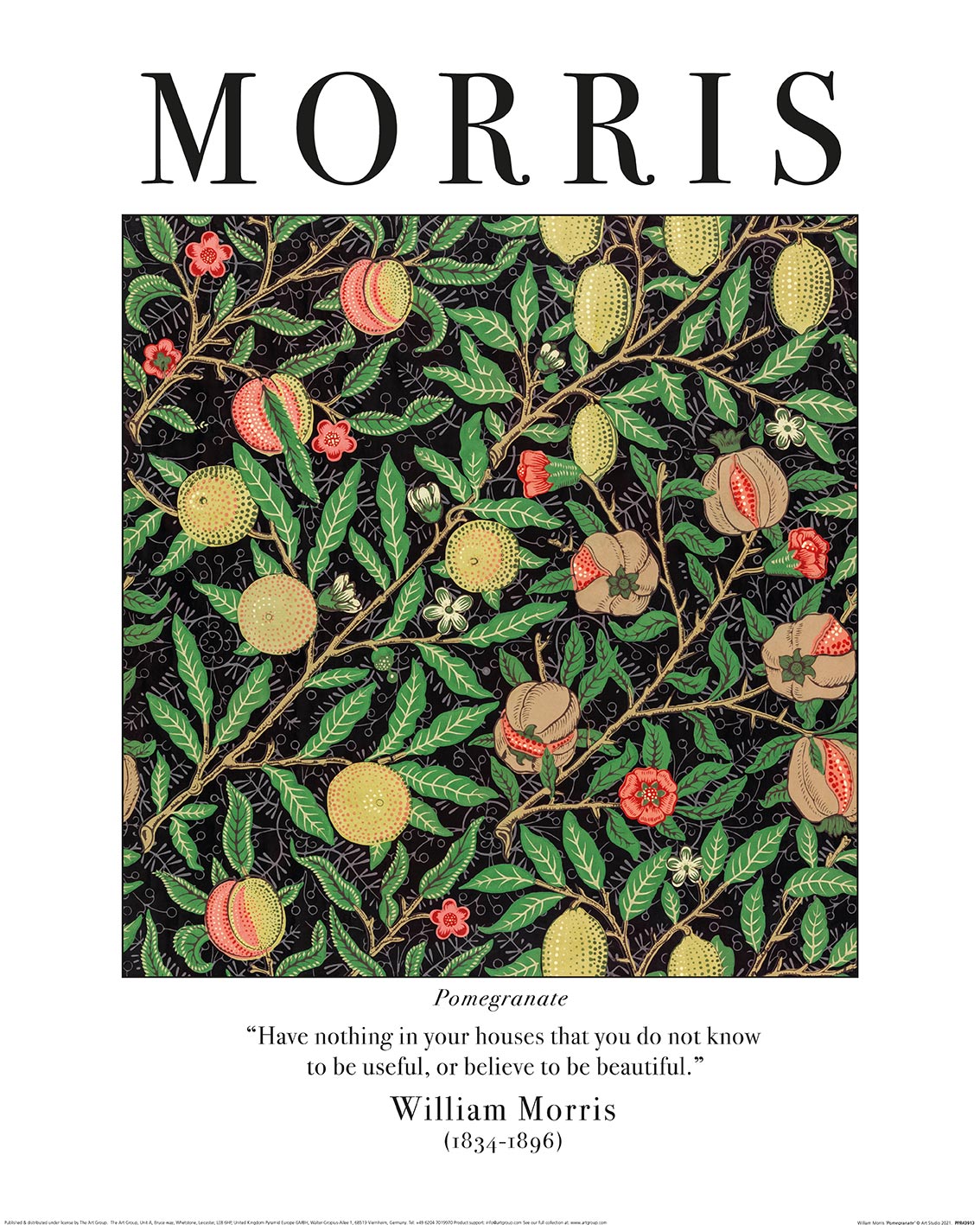 William Morris (Pomegranate) Art Print