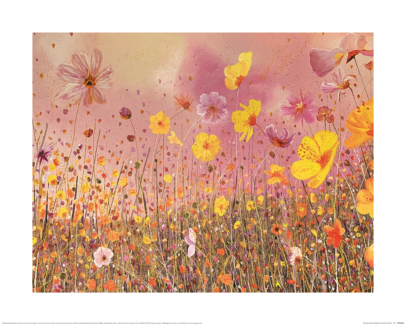 Siobhan McEvoy (Cosmos Flower Meadow) Art Print