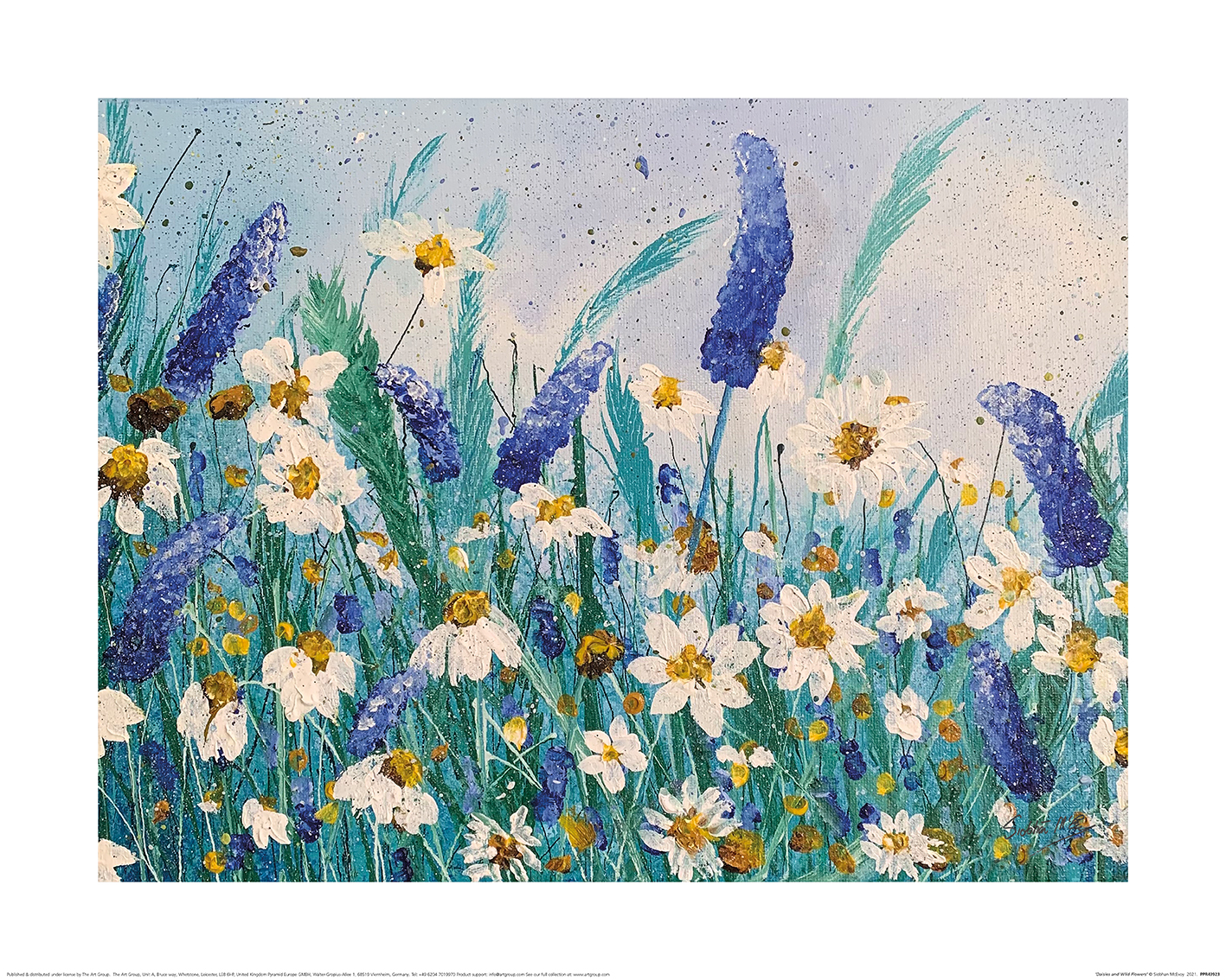 Siobhan McEvoy (Daisies and Wild Pea Flowers) Art Print