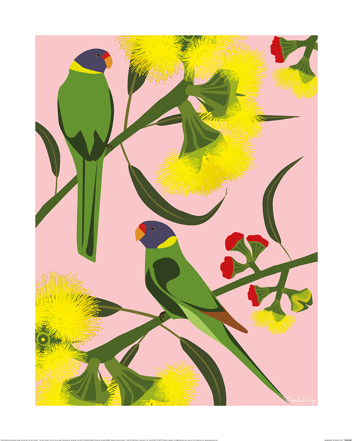 Mokoh (Ringnecks) Art Prints