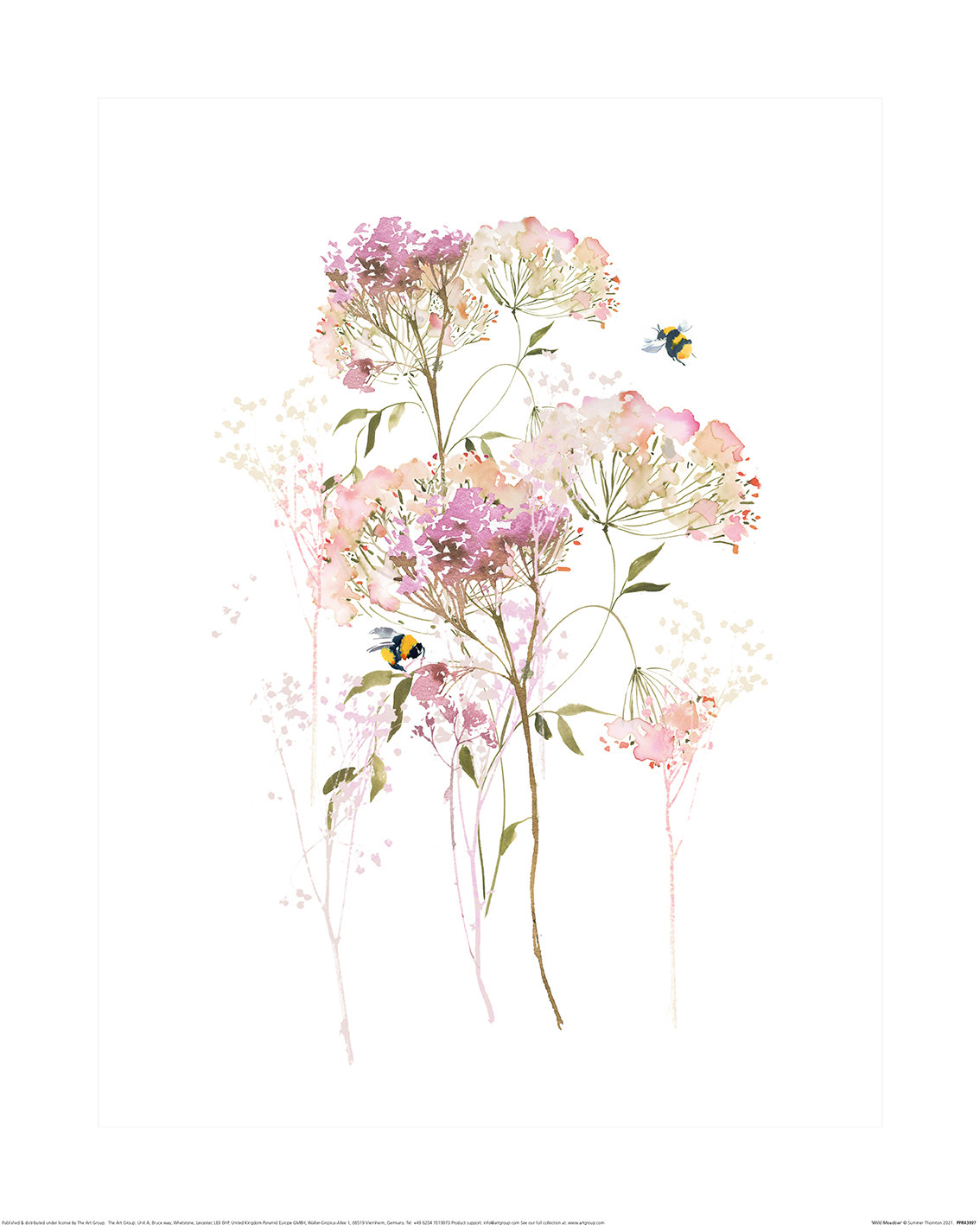 Summer Thornton (Wild Meadow) Art Print | The Art Group