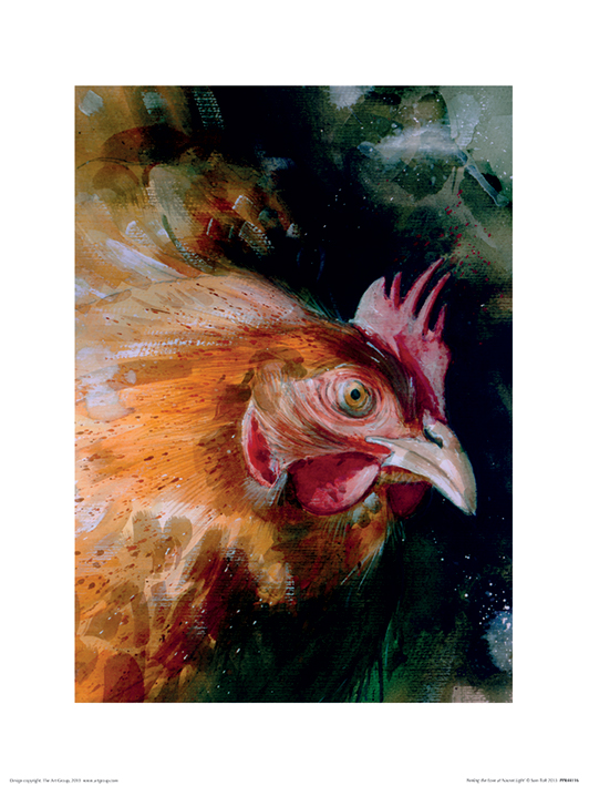 Simon Howden (Brown Chicken) Art Print