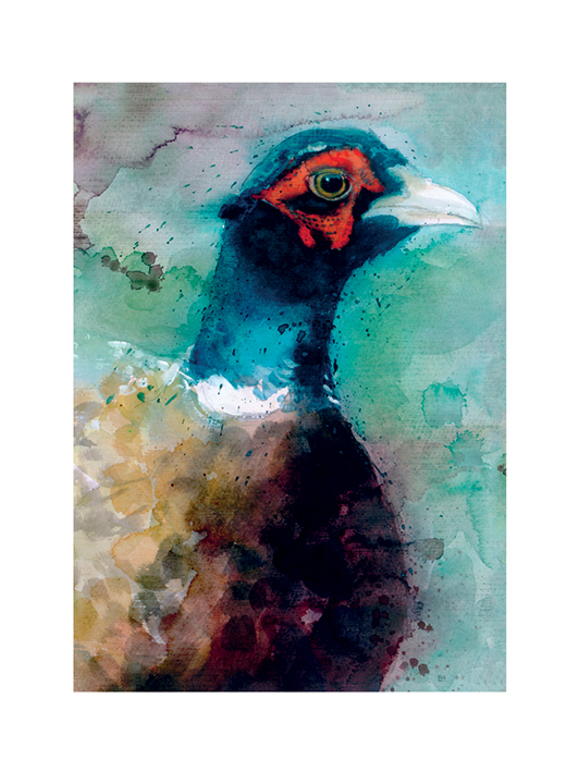 Simon Howden (Male Pheasant) Art Prints