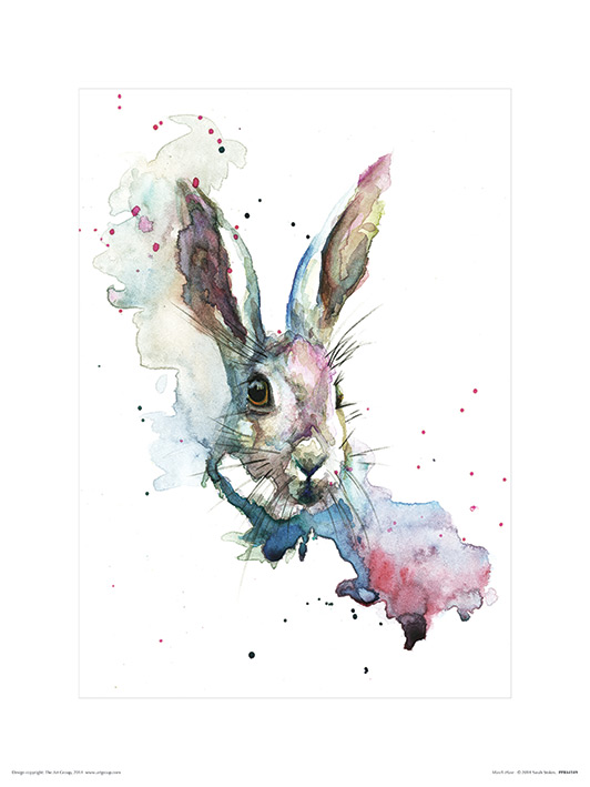 Sarah Stokes (March Hare) Art Prints