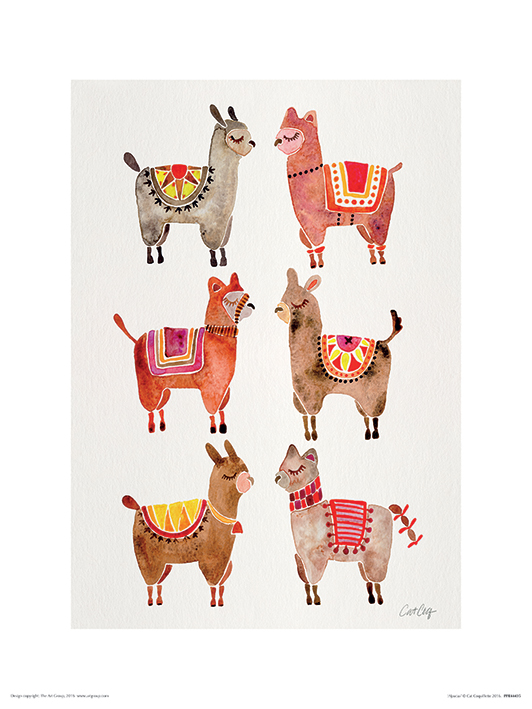 Cat Coquillette (Alpacas) Art Prints