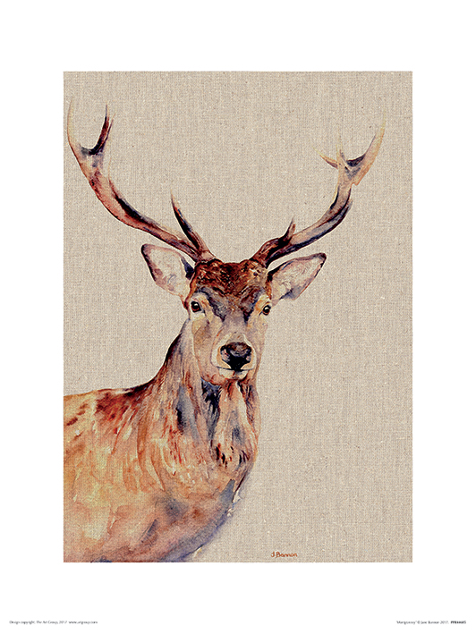 Jane Bannon (Montgomery) Art Print