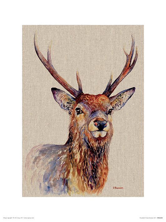 Jane Bannon (Proudlock) Art Prints