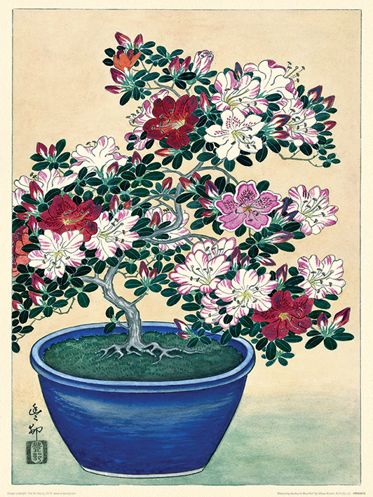 Ohara Koson (Blooming Azalea in Blue Pot) Art Prints