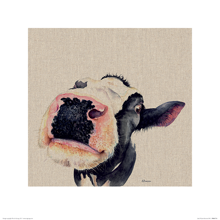 Jane Bannon (Judy) Art Prints