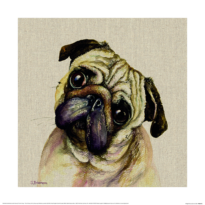 Jane Bannon (Pringle) Art Prints