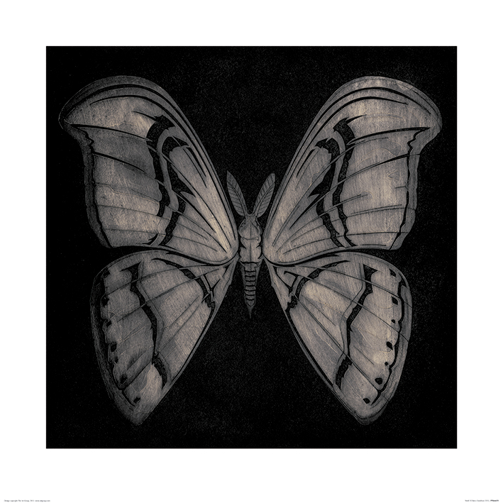 Barry Goodman (Moth) Art Print