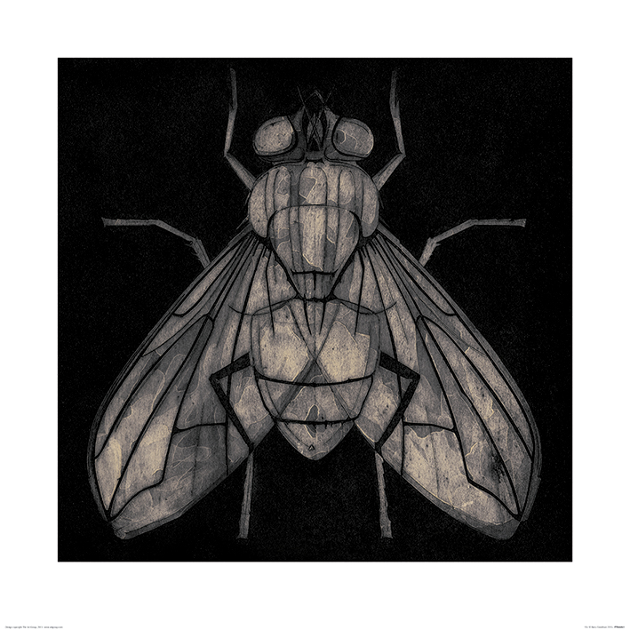 Barry Goodman (Fly) Art Print
