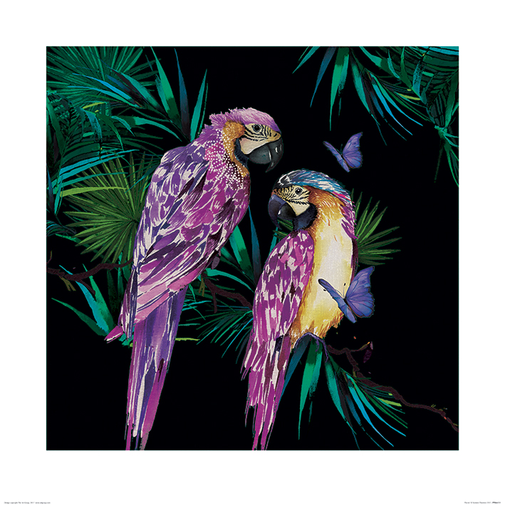 Summer Thornton (Parrots) Art Print