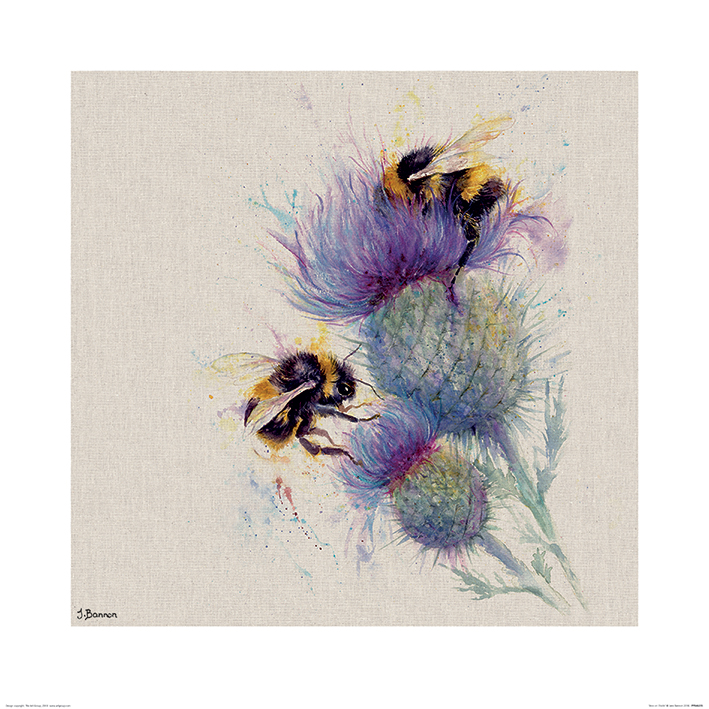 Jane Bannon (Bees on Thistle) Art Prints