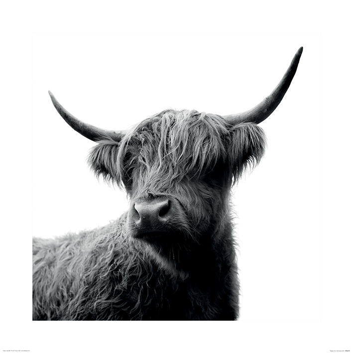 Ian Winstanley (Fergus) Art Prints