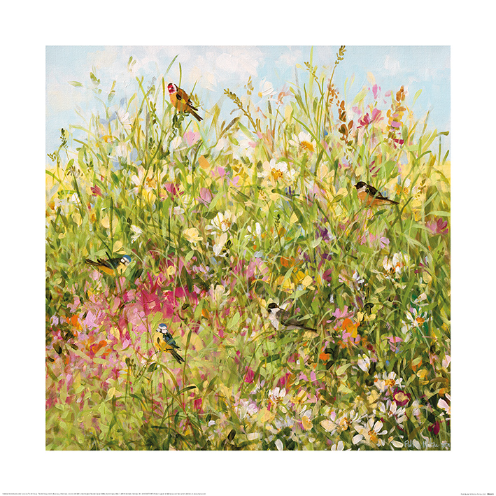 Fletcher Prentice (Field Border) Art Print