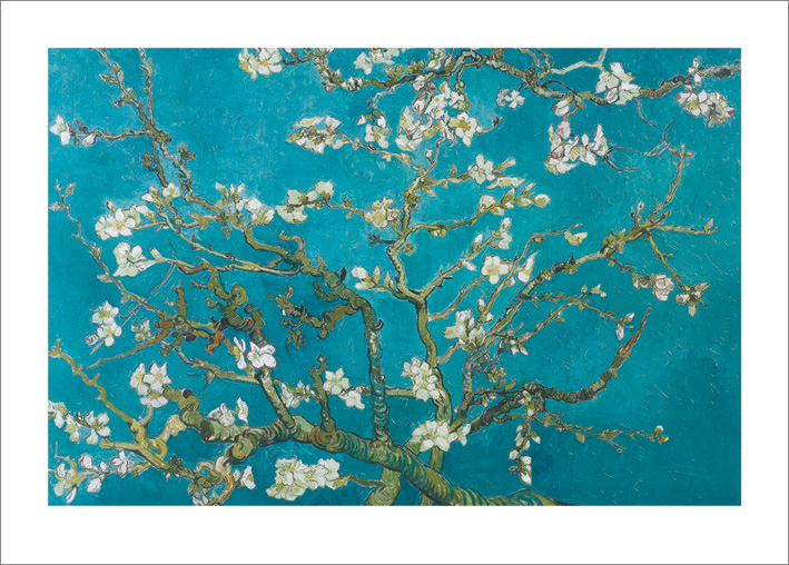 Van Gogh (Almond Blossom San Ramy 1890) Art Print