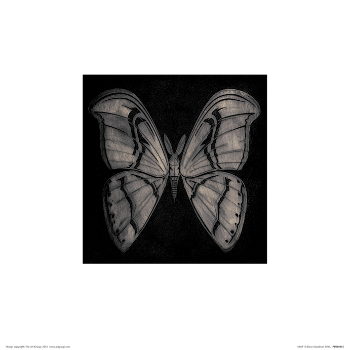 Barry Goodman (Moth) Art Print