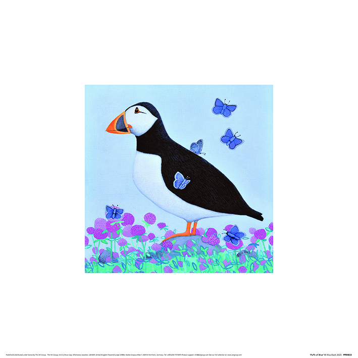 Ailsa Black (Puffs of Blue) Art Prints