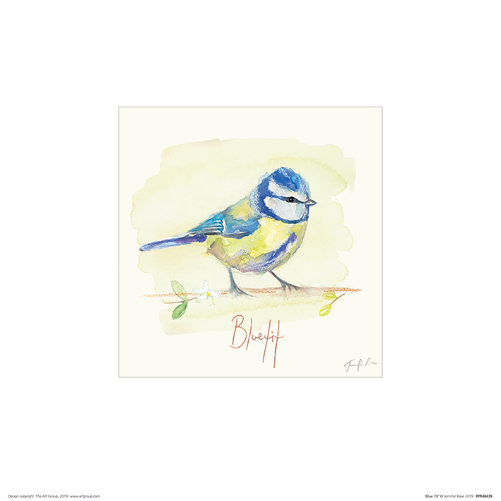 Jennifer Rose (Blue Tit) Art Prints