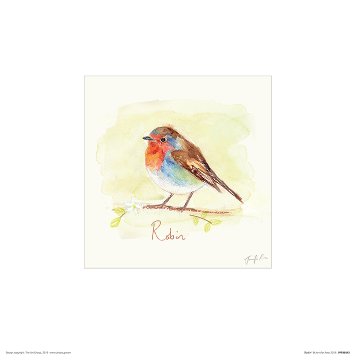Jennifer Rose (Robin) Art Prints