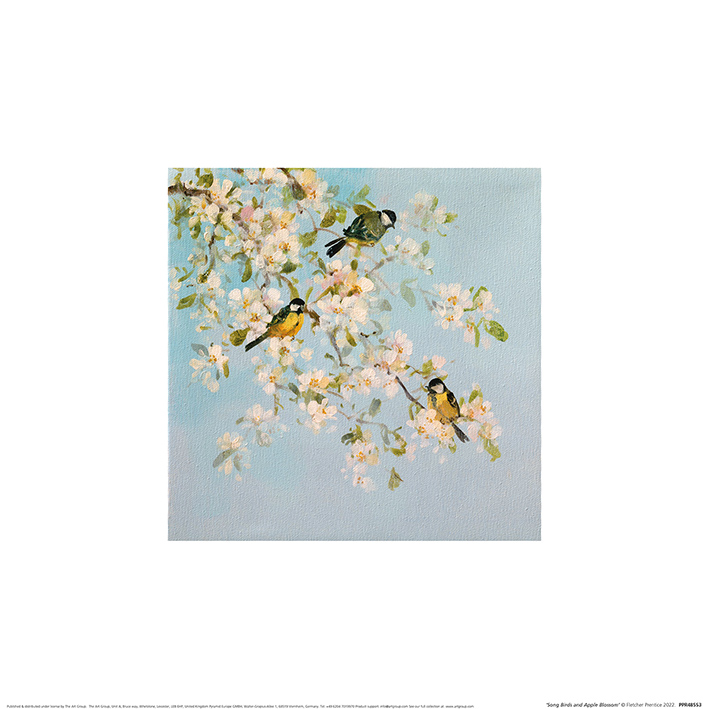 Fletcher Prentice (Song Birds and Apple Blossom) Art Prints