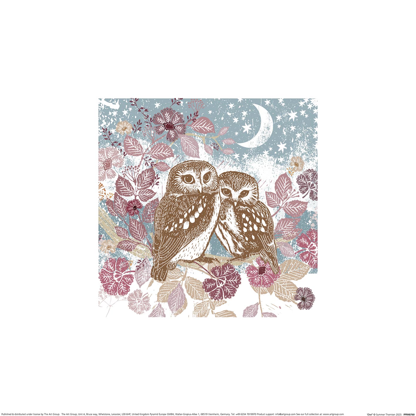 Summer Thornton (Woodland Nature - Owl) Art Print | The Art Group
