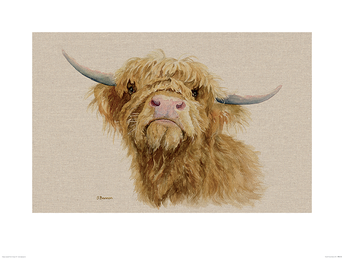 Jane Bannon (Donald) Art Prints