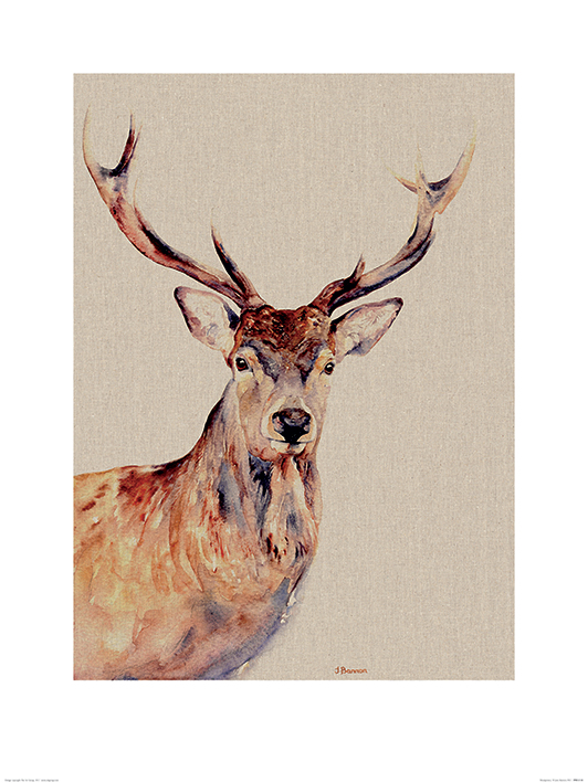 Jane Bannon (Montgomery) Art Prints