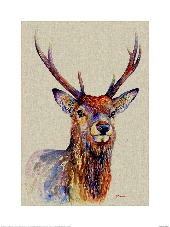 Jane Bannon (Proudlock) Art Prints