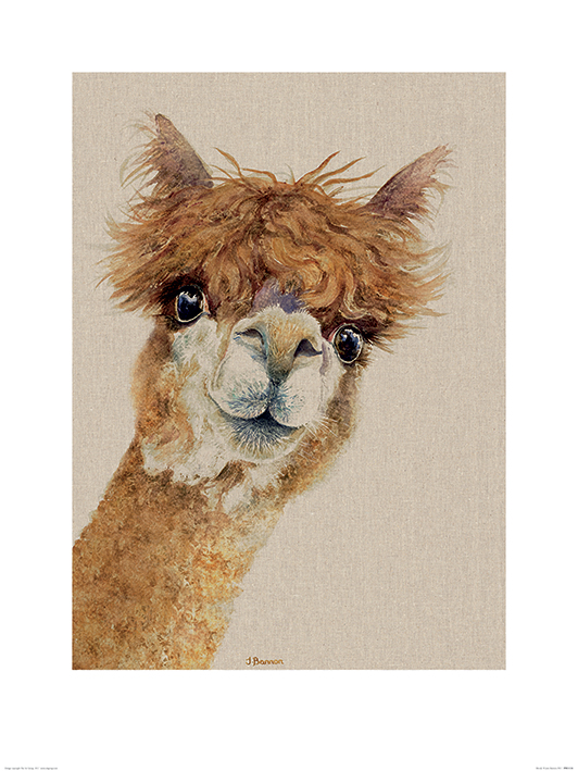 Jane Bannon (Wendy) Art Print