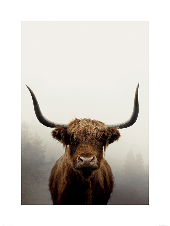 Ian Winstanley (Douglas) Art Prints