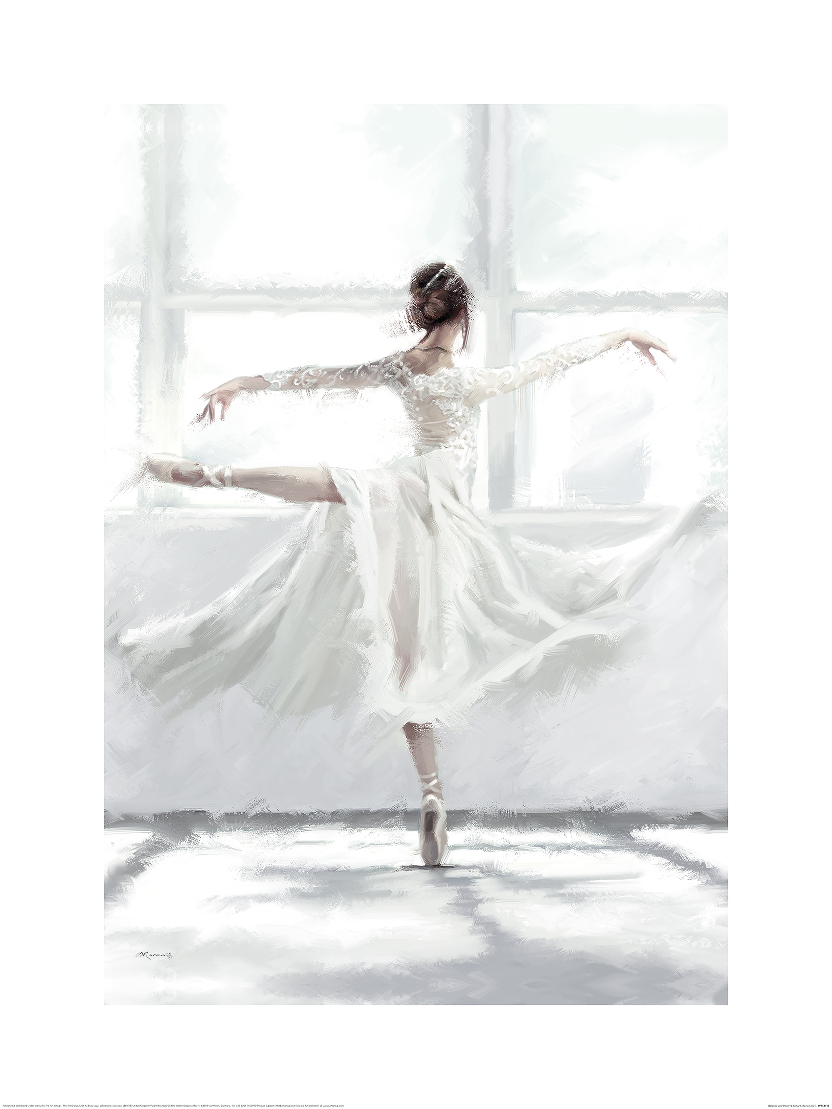 Richard Macneil (Balance and Poise) Art Print
