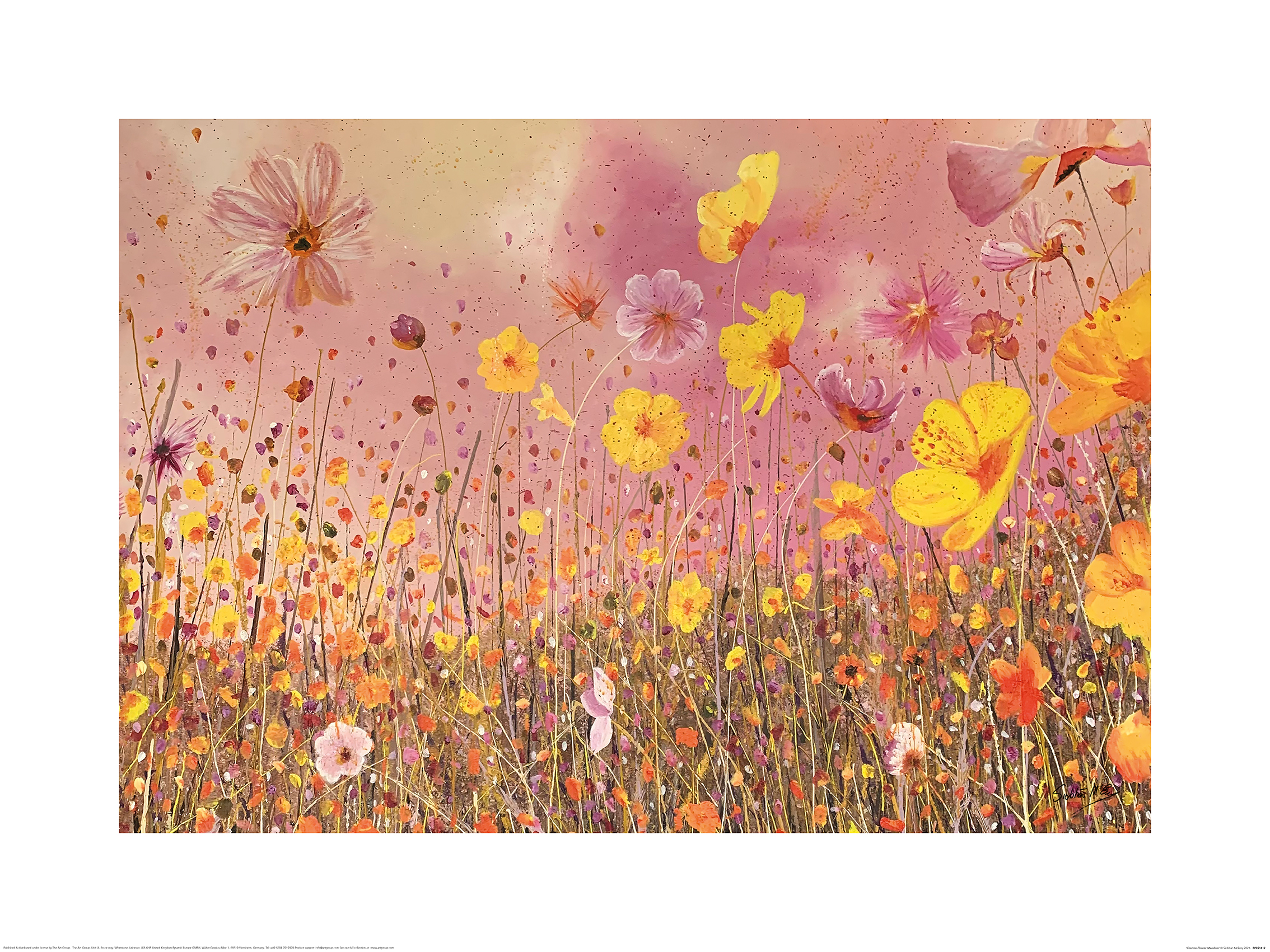 Siobhan McEvoy (Cosmos Flower Meadow) Canvas Print | The Art Group
