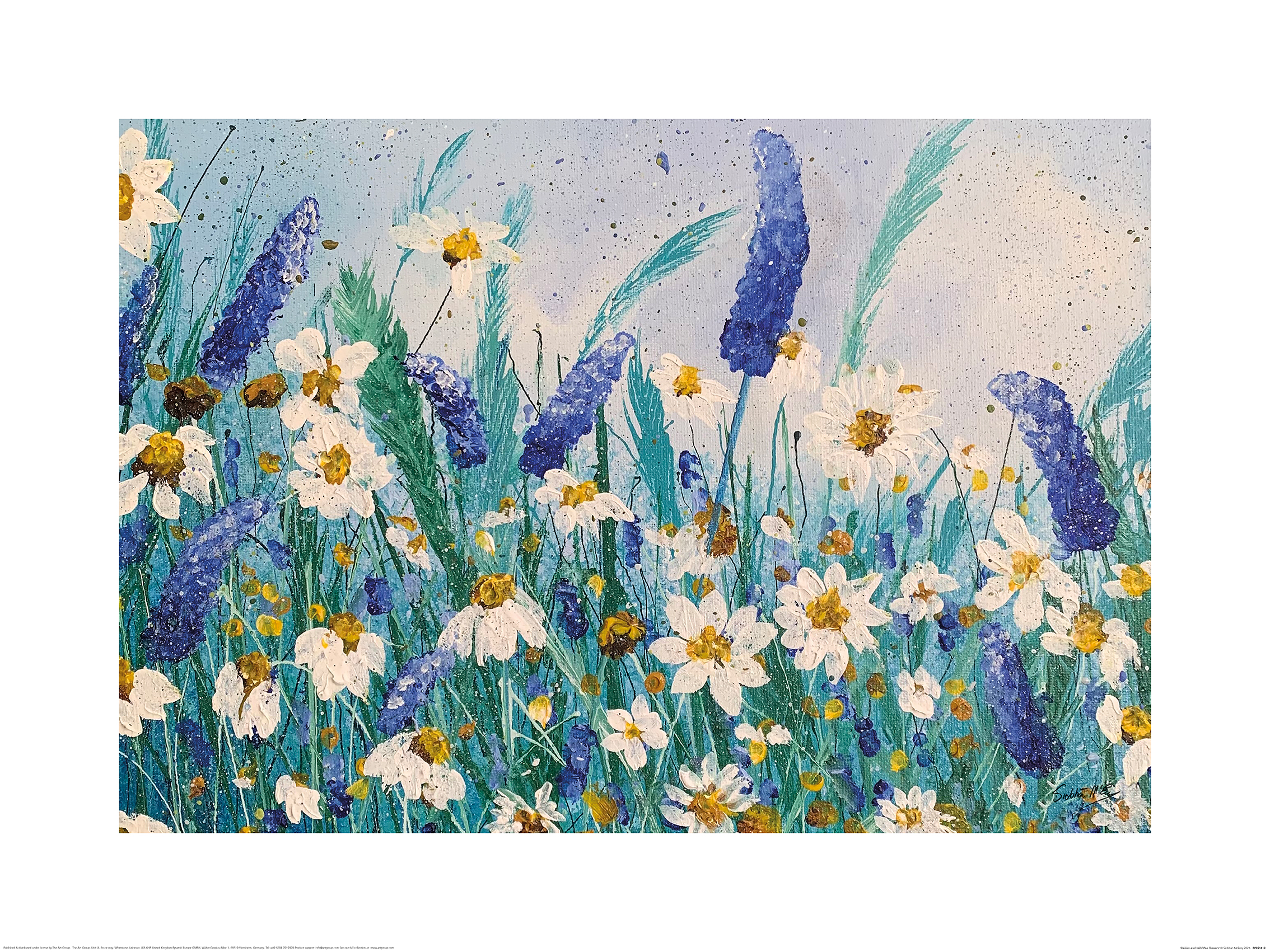 Siobhan McEvoy (Daisies and Wild Pea Flowers) Art Prints