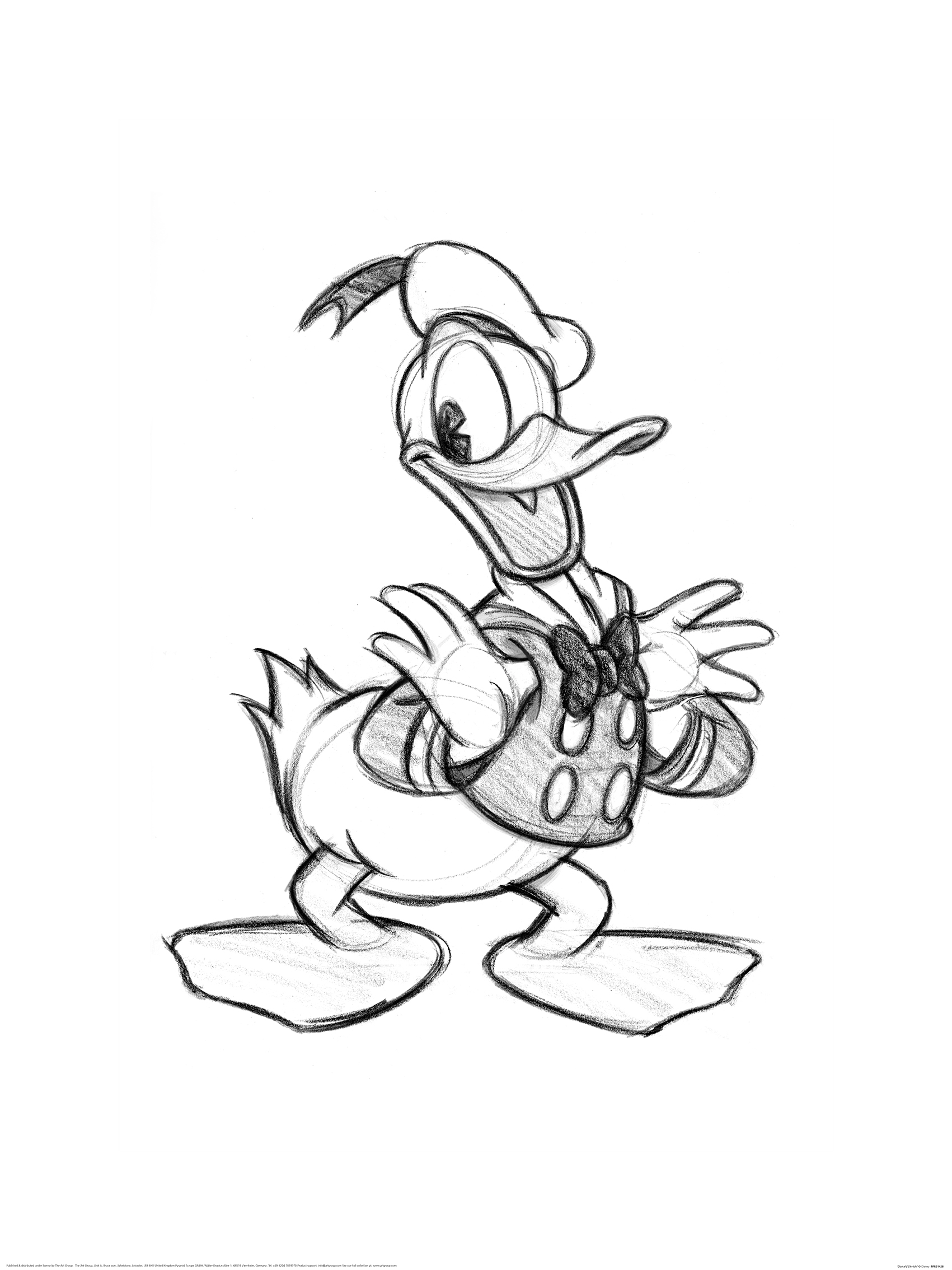 Donald Duck (Sketch) Art Print