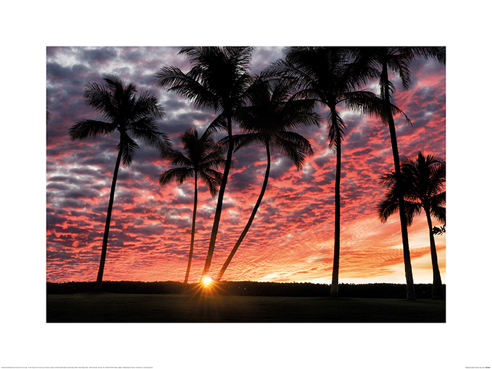 Dennis Frates (Hawaiian Sunset) Art Prints