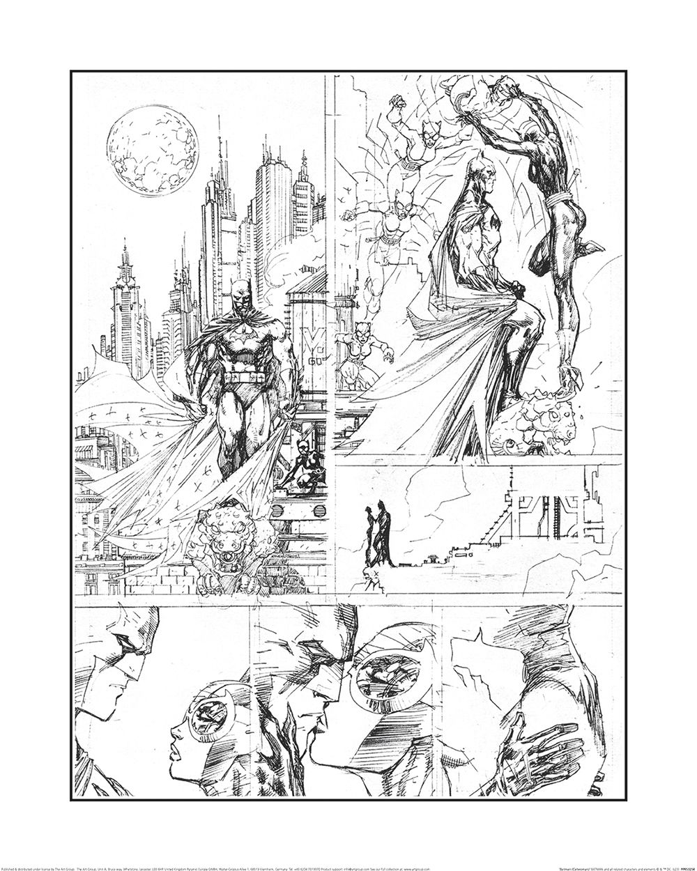 Batman (Catwoman) Art Prints