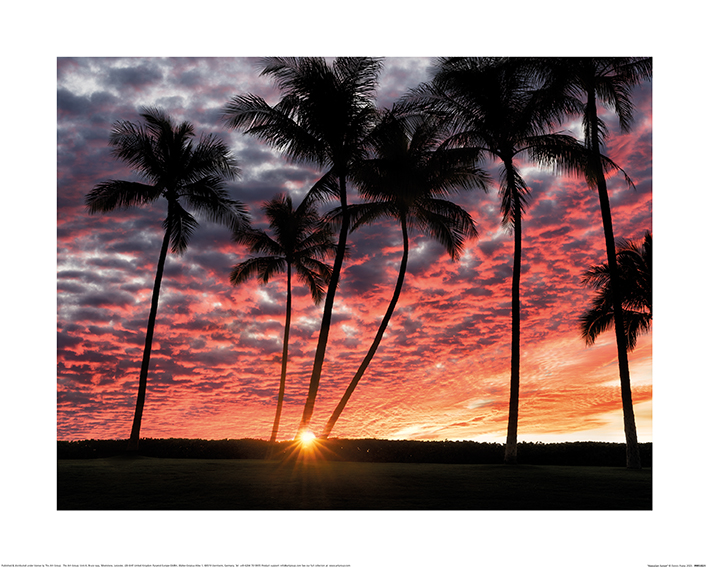 Dennis Frates (Hawaiian Sunset) Art Print