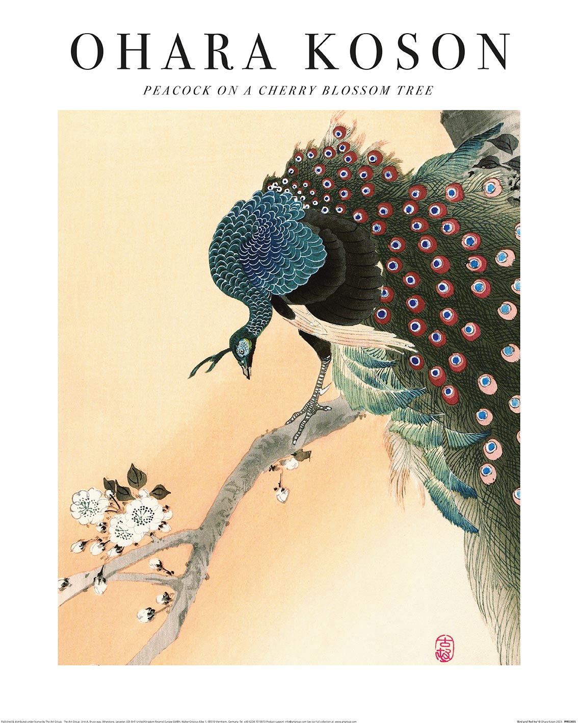 Ohara Koson (Peacock on a Cherry Blossom Tree) Art Print