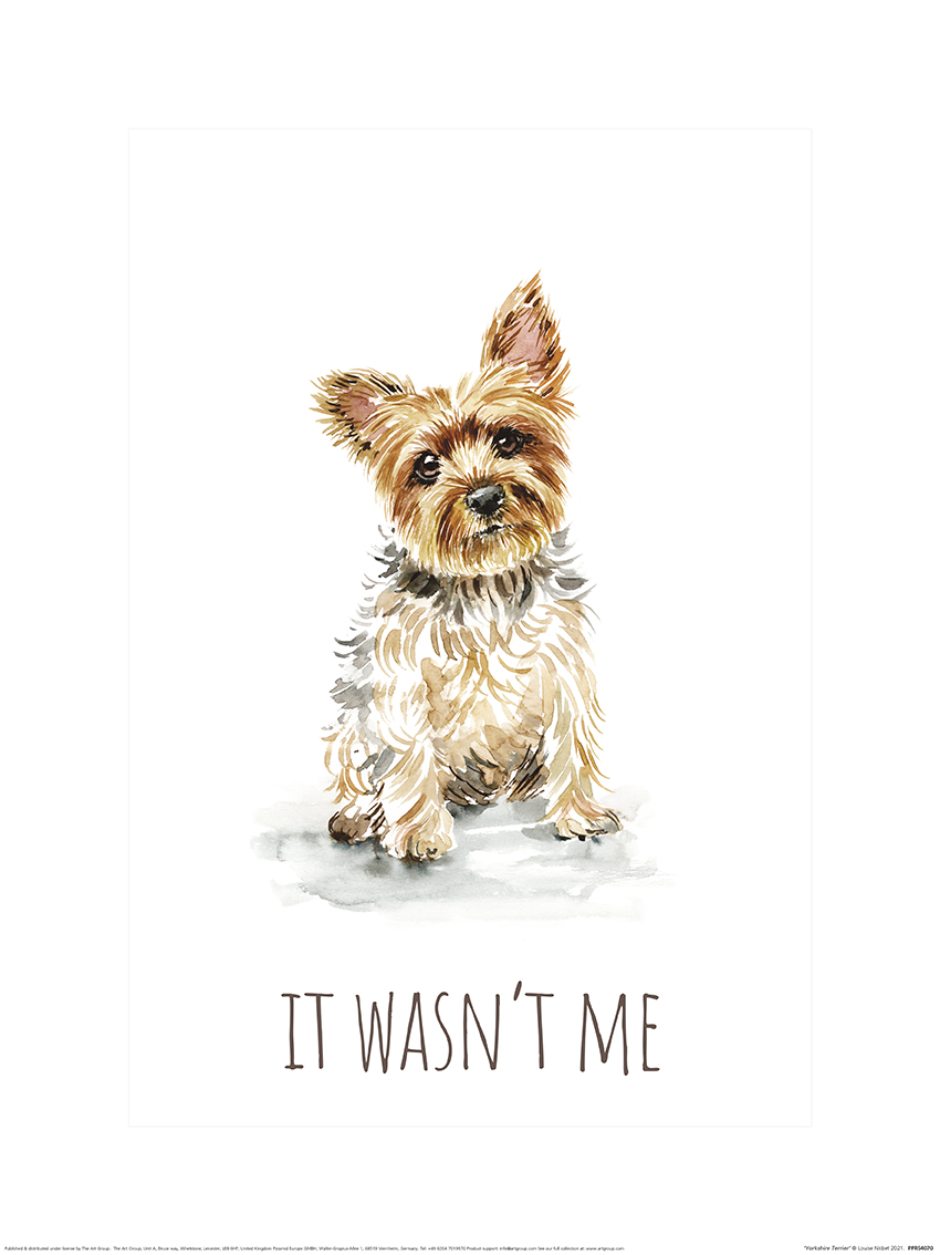 Louise Nisbet (Yorkshire Terrier) Art Prints