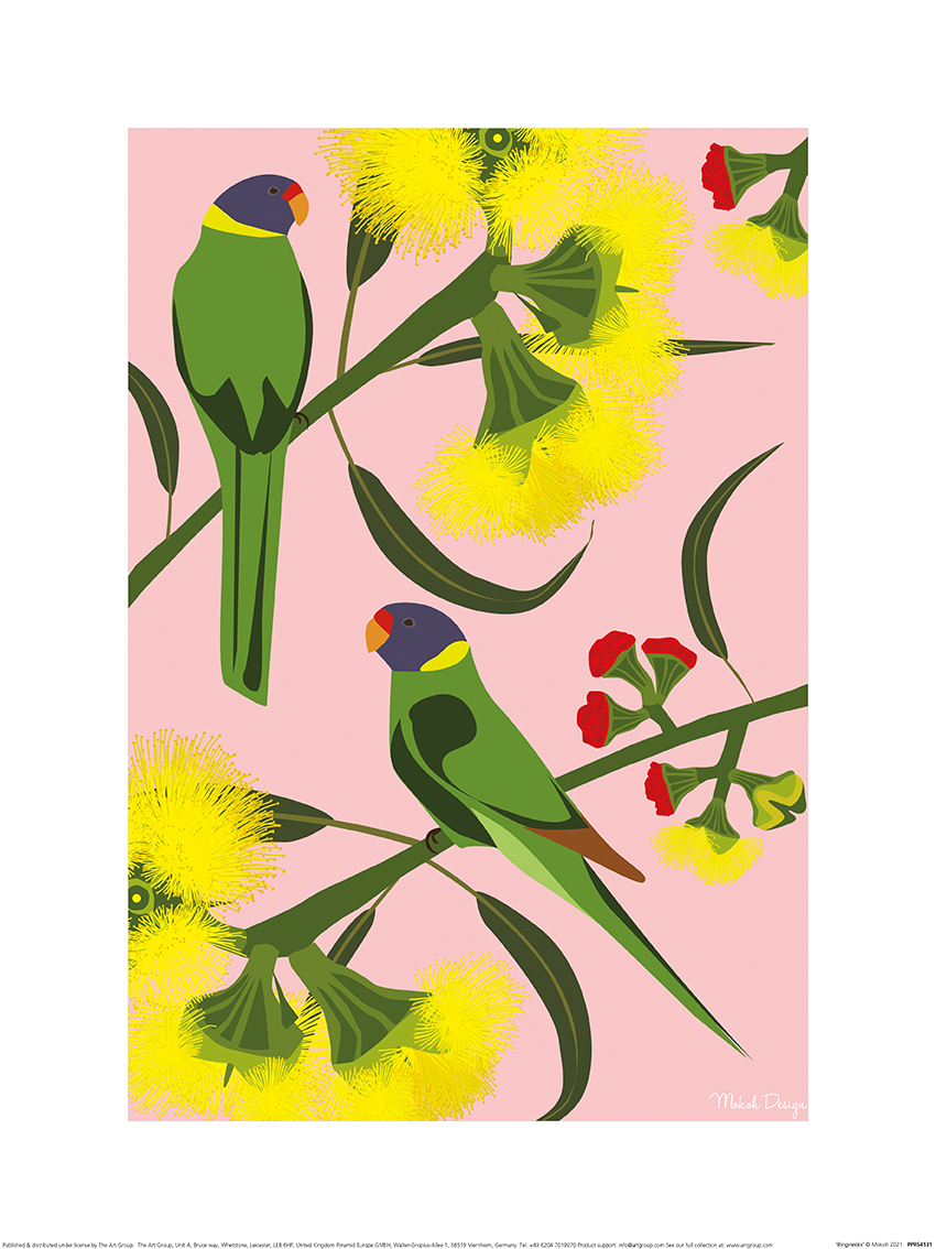 Mokoh (Ringnecks) Art Prints
