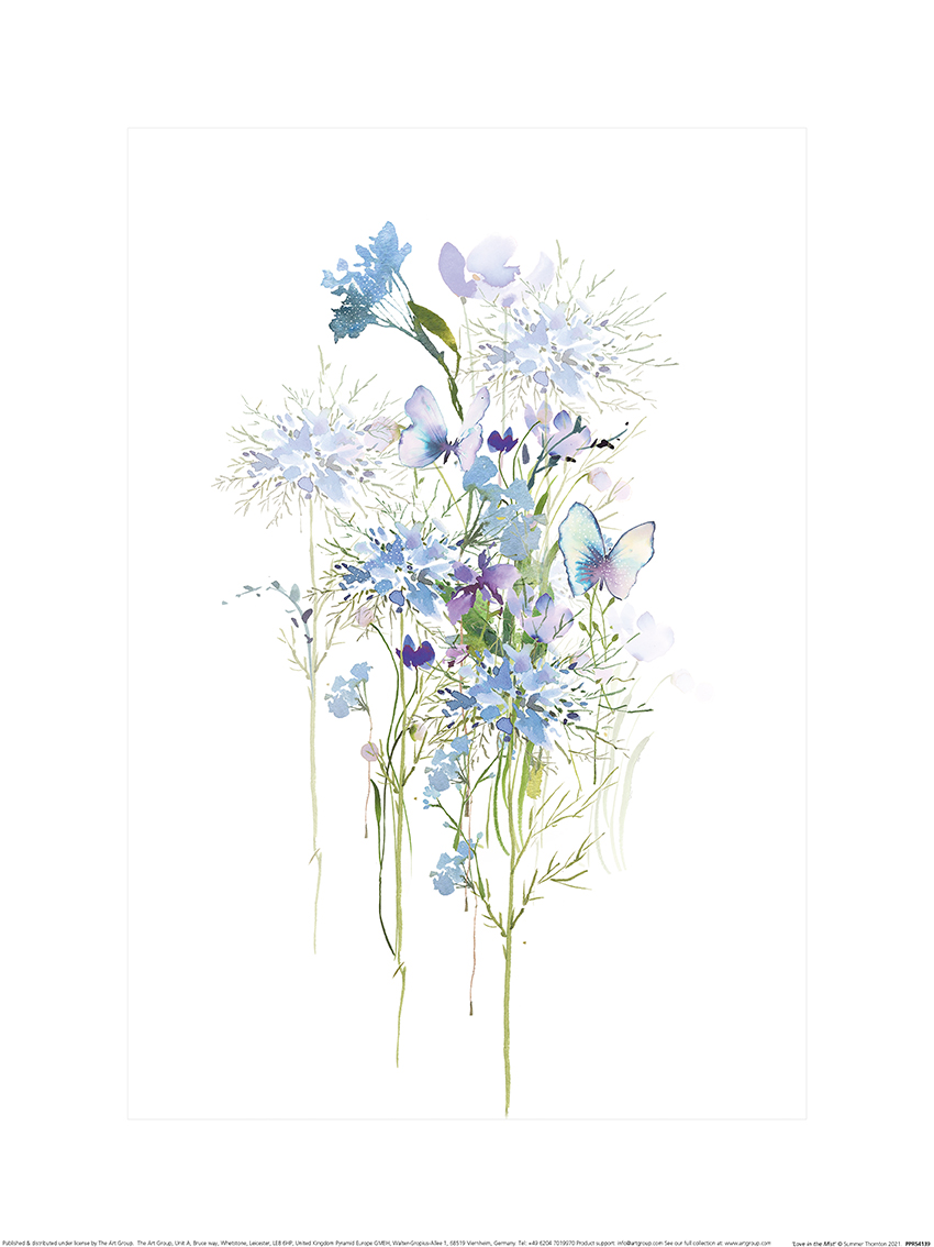 Summer Thornton (Love in the Mist) Mounted Print | The Art Group