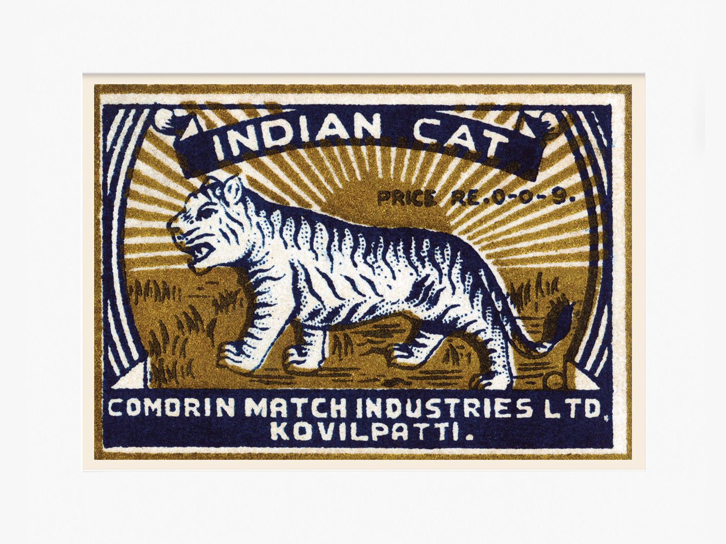 Indian Cat Art Prints
