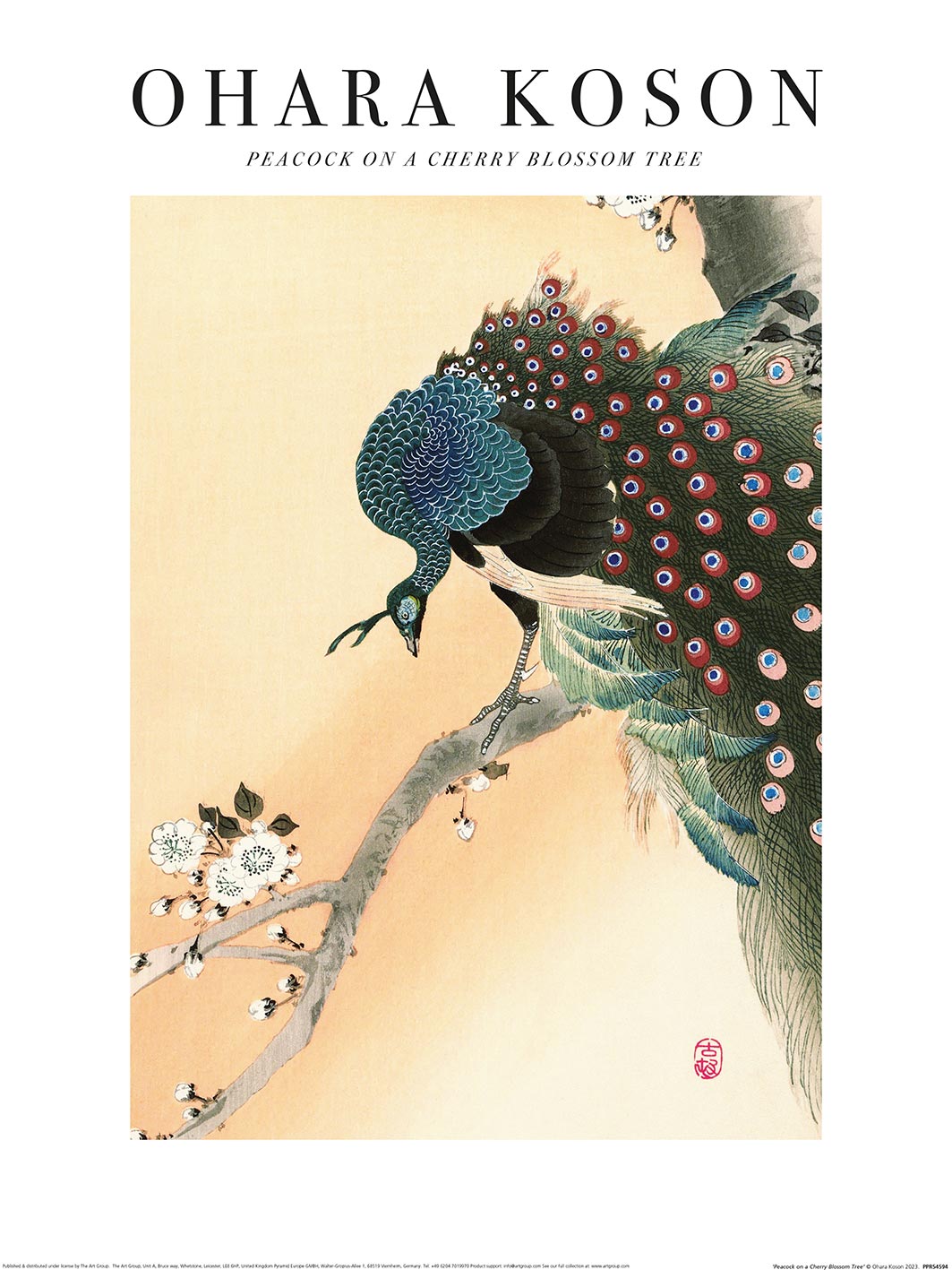 Ohara Koson (Peacock on a Cherry Blossom Tree) Art Prints