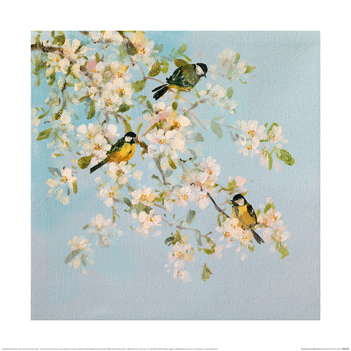 Fletcher Prentice (Song Birds and Apple Blossom) Art Print