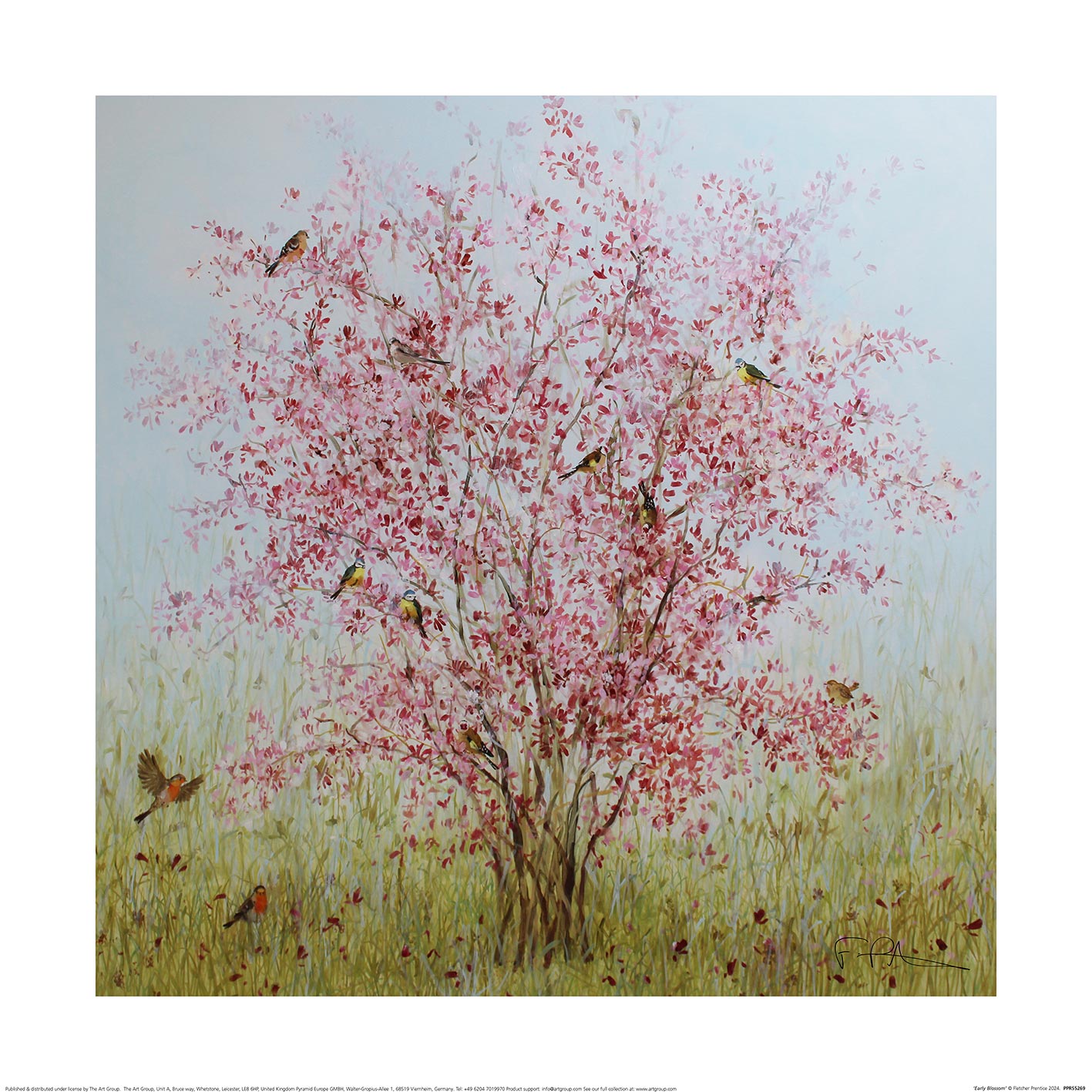 Fletcher Prentice (Early Blossom) Art Print