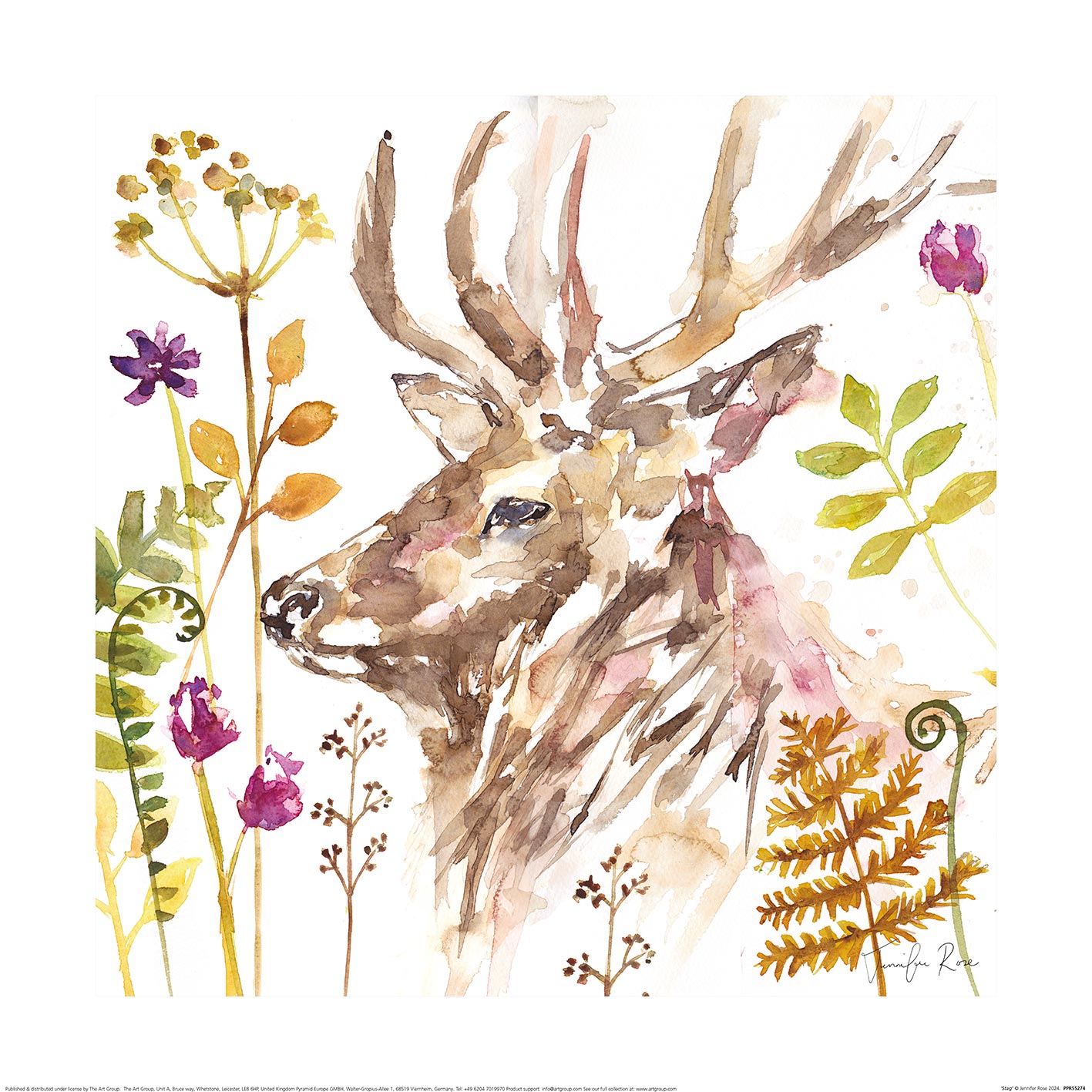 Jennifer Rose (Stag) Art Prints
